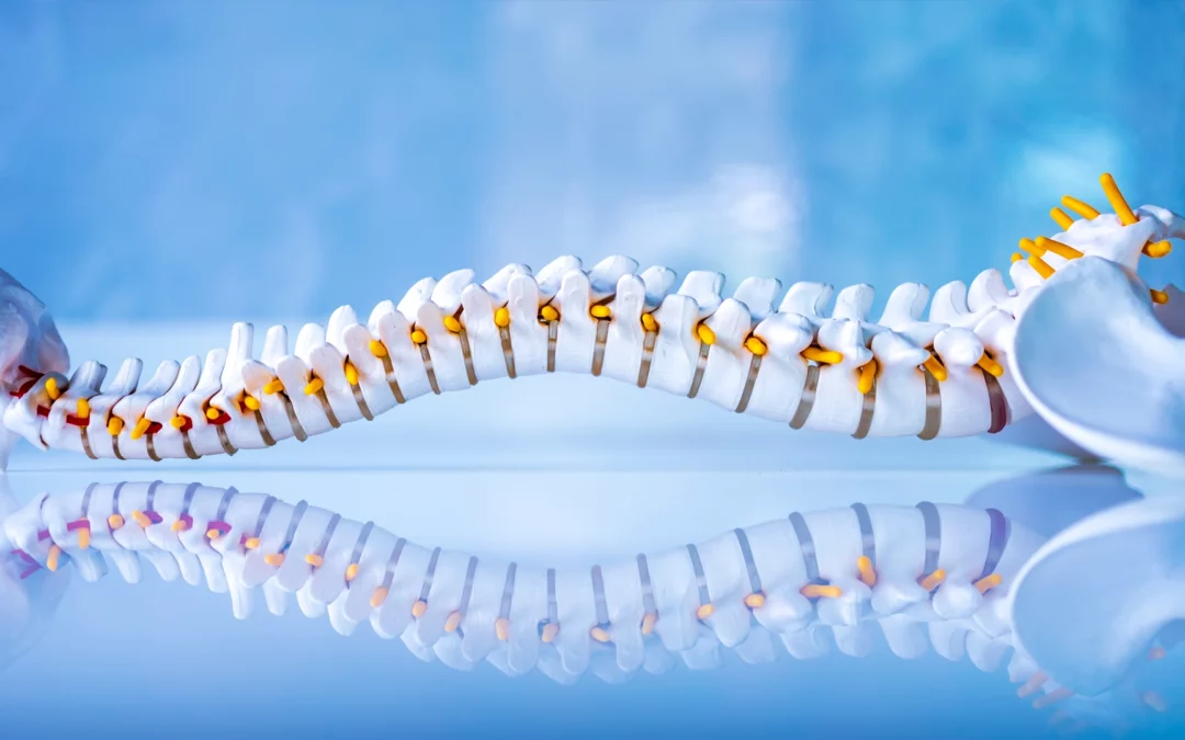 Joint Popping Noise: What That Cracking Sound Really Means