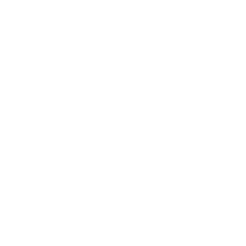 Icon of a person standing in a side profile with one arm bent forward, symbolizing chiropractic care. A mirrored outline of the person is shown behind them, slightly offset to the right, creating an impression of movement or pain relief. The background is light grey.