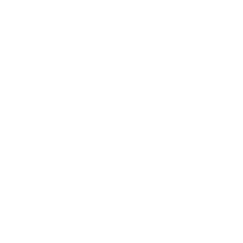 Icon of a person standing in a side profile with one arm bent forward, symbolizing chiropractic care. A mirrored outline of the person is shown behind them, slightly offset to the right, creating an impression of movement or pain relief. The background is light grey.