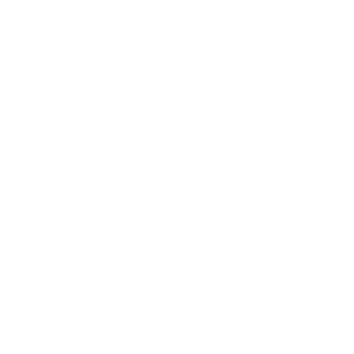 Icon of a person standing in a side profile with one arm bent forward, symbolizing chiropractic care. A mirrored outline of the person is shown behind them, slightly offset to the right, creating an impression of movement or pain relief. The background is light grey.