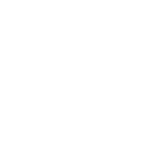 Icon of a person standing in a side profile with one arm bent forward, symbolizing chiropractic care. A mirrored outline of the person is shown behind them, slightly offset to the right, creating an impression of movement or pain relief. The background is light grey.
