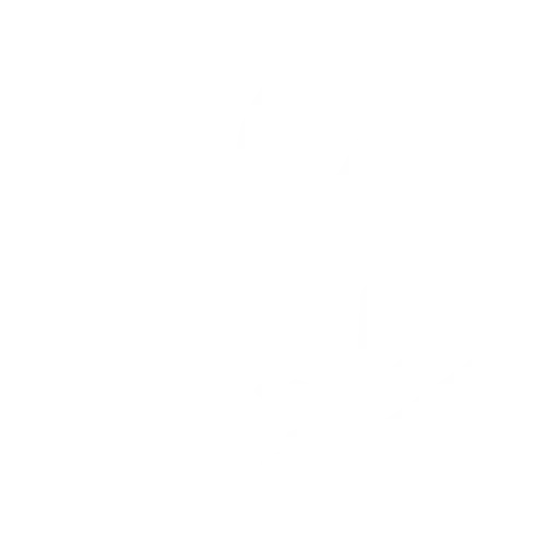 Icon of a person standing in a side profile with one arm bent forward, symbolizing chiropractic care. A mirrored outline of the person is shown behind them, slightly offset to the right, creating an impression of movement or pain relief. The background is light grey.